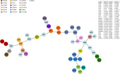 Molecular characterization of Listeria monocytogenes strains isolated from imported food in China from 14 countries/regions, 2003-2018